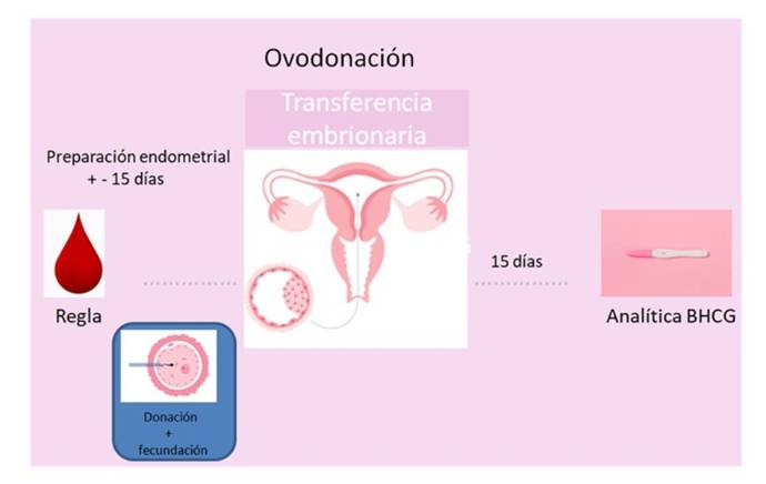 Imagen1